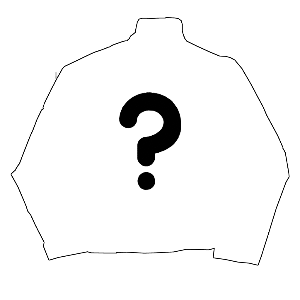 MYSTERY HOODIE / JACKET